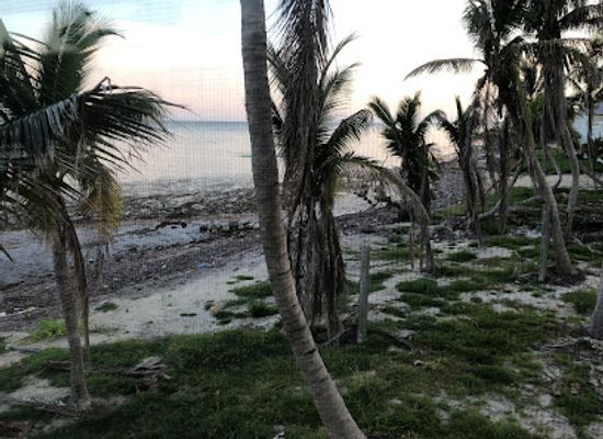 florida/florida-keys/landmark/grassy-key