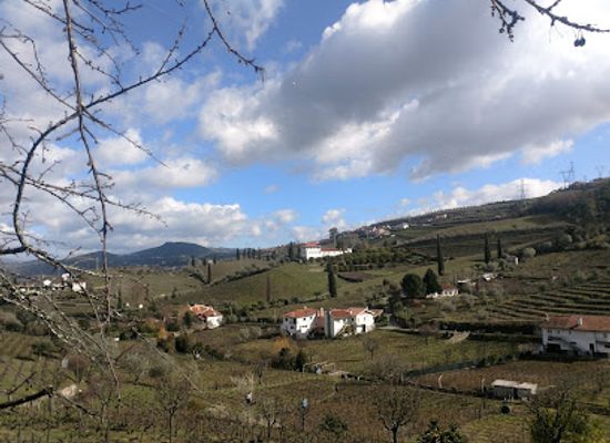 portugal/lamego/landmark/quinta-casa-amarela