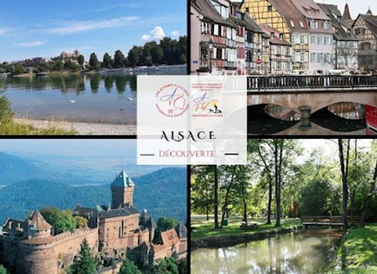 france/alsace-wine-route/landmark/a-f-w-une-journee-a-la-carte-en-alsace