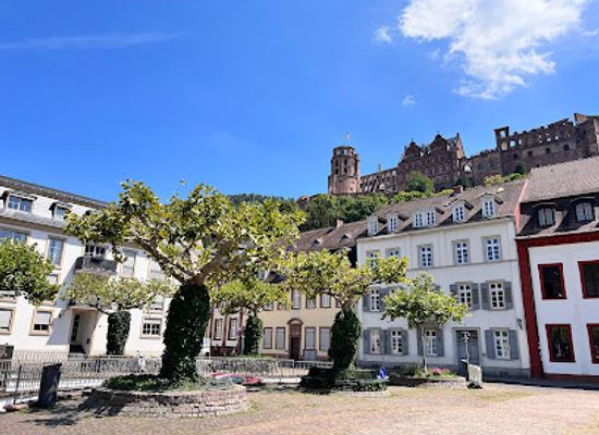 germany/heidelberg/altstadt/landmark/karlsplatz