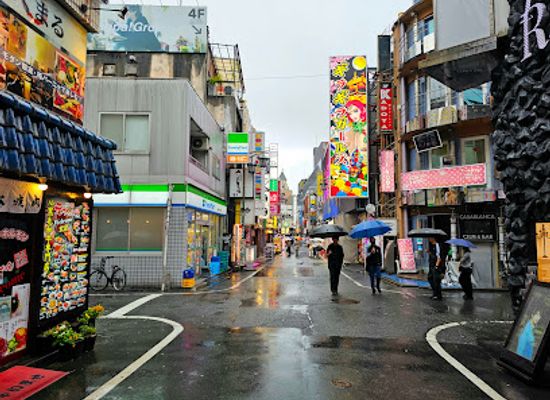 japan/tokyo/shinjuku/landmark/kabukicho-sakura-dori