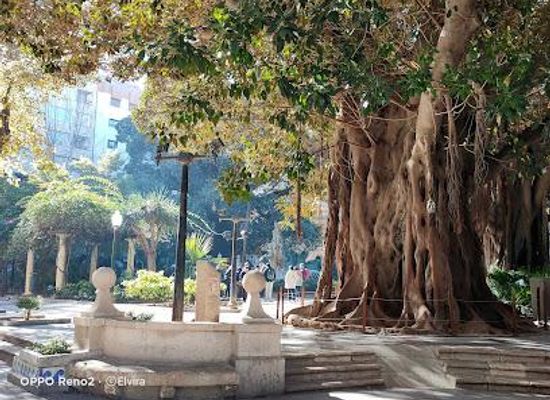 spain/alicante/landmark/pl-gabriel-miro
