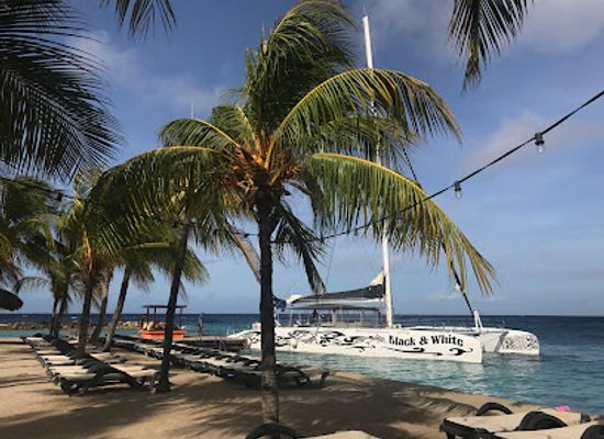 curacao/jan-thiel/landmark/bluefinn-charters-curacao