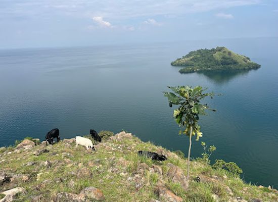 rwanda/western-province/landmark/birdwatching-boat-tours-kayaking
