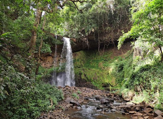 cambodia/mondulkiri/landmark/elephant-valley-project