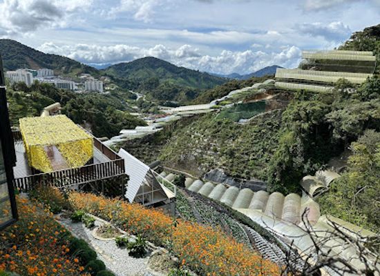 malaysia/cameron-highlands/landmark/cameron-highlands-flora-park