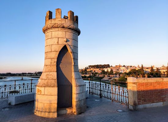 spain/badajoz/landmark/puente-de-palmas