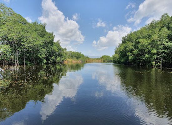 jamaica/black-river-great-morass/landmark/j-charles-swaby-s-black-river-safari