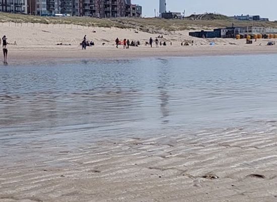 netherlands/egmond-aan-zee/landmark/strand-egmond-aan-zee