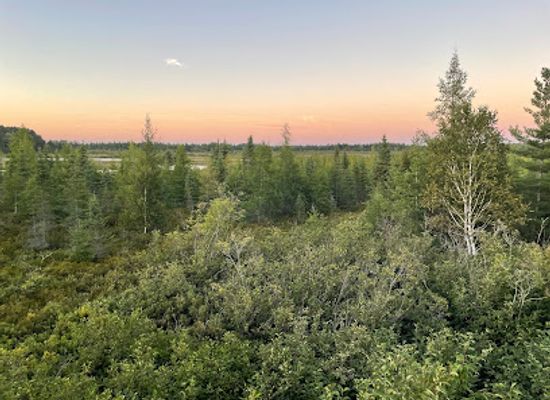 michigan/northern-michigan/landmark/rainey-wildlife-area