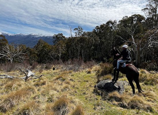 australia/kosciuszko-national-park/landmark/pender-lea-thredbo-valley-horse-risding