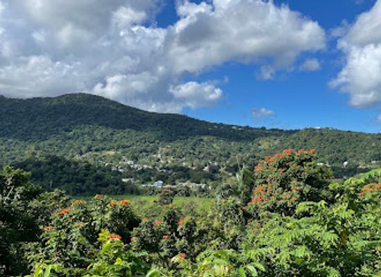 puerto-rico/yunque-national-forest/landmark/carabali-rainforest-park