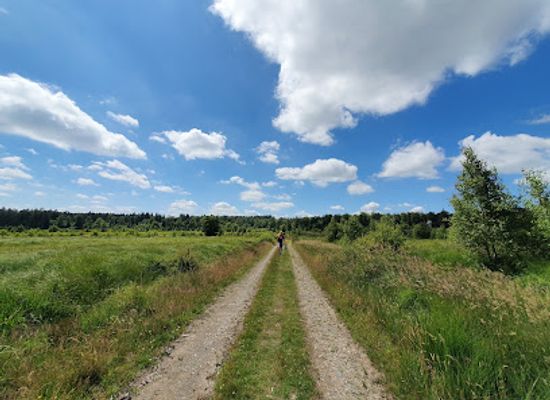 belgium/luxembourg/landmark/plateau-size-natural-park-of-the-two-ourthes