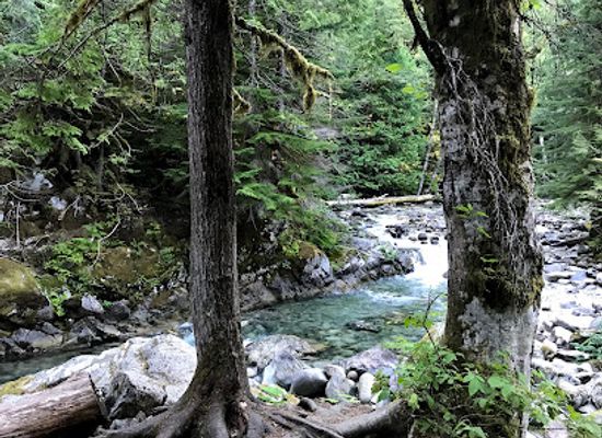 washington/mount-baker-snoqualmie-national-forest/landmark/snoqualmie-national-forest