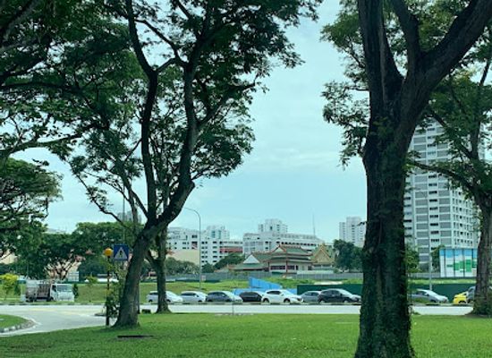 singapore/jurong/landmark/the-carving-board