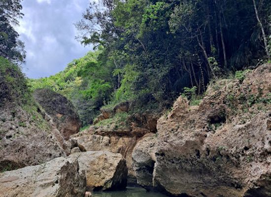 puerto-rico/arecibo/landmark/rio-la-planta