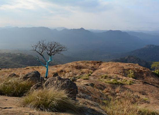south-africa/nelspruit/landmark/steiltes-nature-reserve