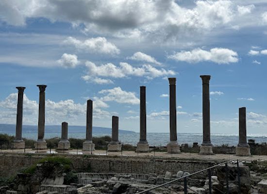 lebanon/tyre/landmark/entrance-to-the-tyre-al-bass-world-heritage-site