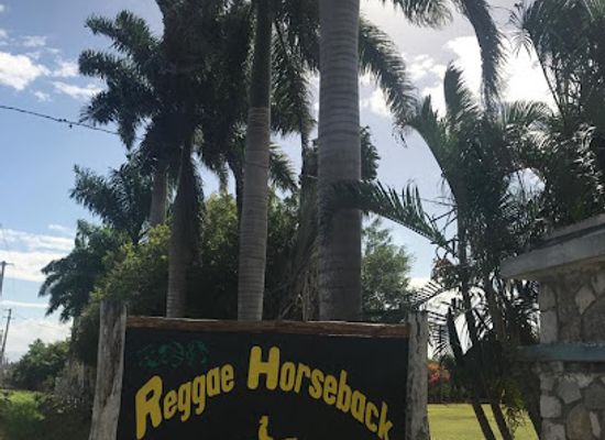 jamaica/negril-area/landmark/reggae-horseback-riding-tours
