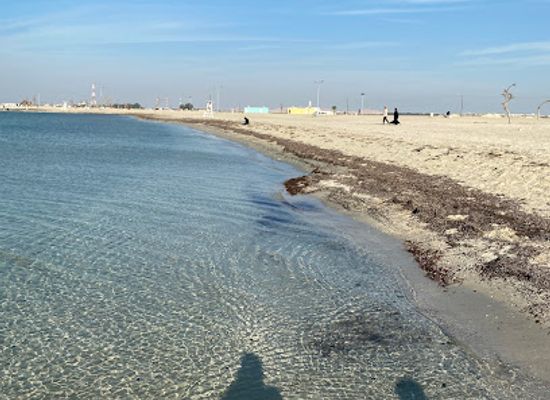bahrain/bahrain-international-circuit/landmark/al-jazair-public-beach