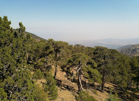cyprus/troodos-mountains/landmark/northwest-view-point