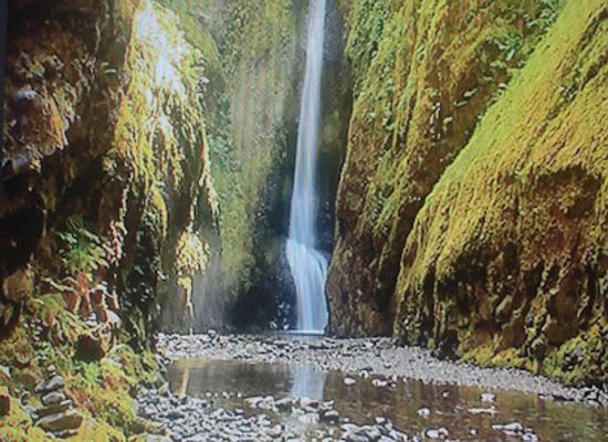 oregon/clackamas-county/landmark/oneonta-trailhead