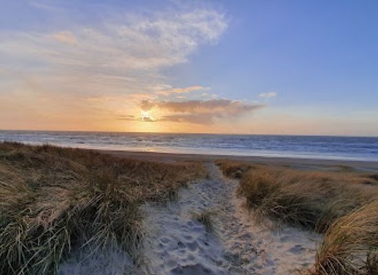 netherlands/egmond-aan-zee/landmark/ingang-noordhollands-duinreservaat-aan-de-doctor-wiardi-beckmanlaan-1931-egmond-aan-zee