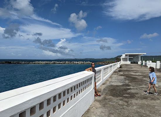 puerto-rico/vieques-island/landmark/mosquito-pier