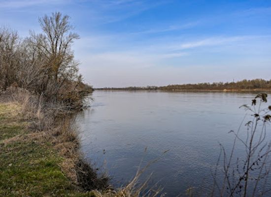 poland/kampinos-national-park/landmark/rezerwat-przyrody-kepy-kazunskie