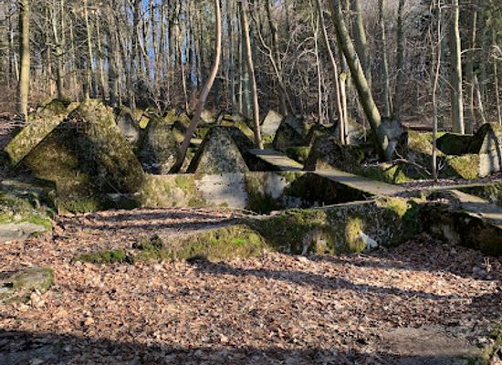germany/hunsruck/landmark/hockerlinie-des-westwalls