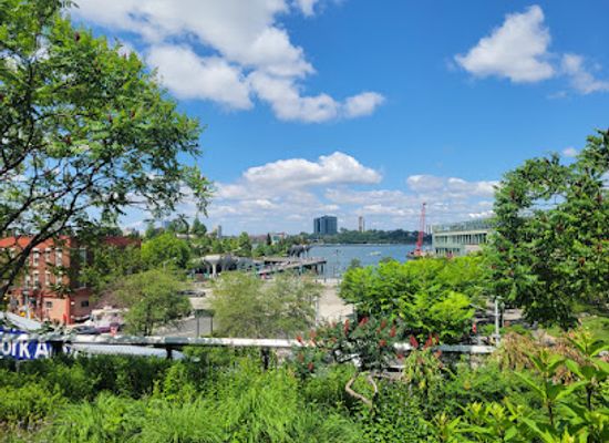 new-york/leatherstocking-region/landmark/the-high-line