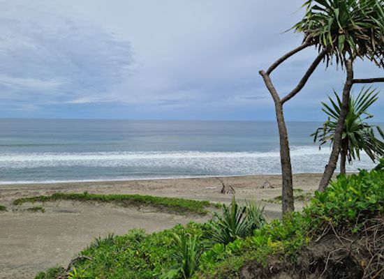 fiji/viti-levu/landmark/sigatoka-sand-dunes-national-park-visitor-information-center