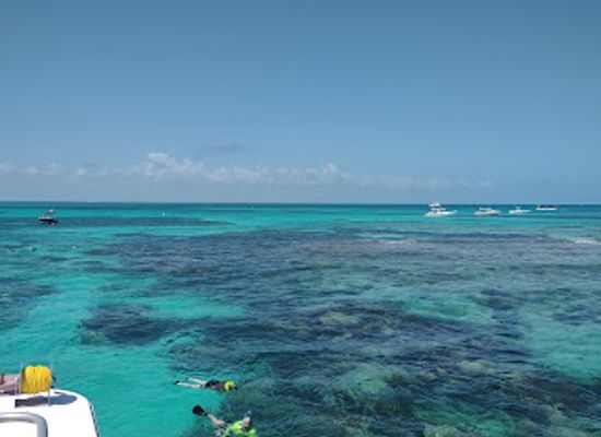 florida/key-largo/landmark/sea-dwellers-dive-center-of-key-largo