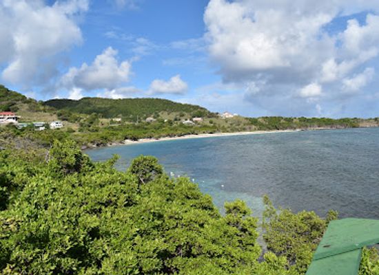 grenada/carriacou-and-petite-martinique/landmark/petit-carenage-beach