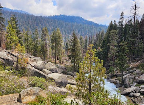 california/sequoia-national-park/landmark/the-giant-forest