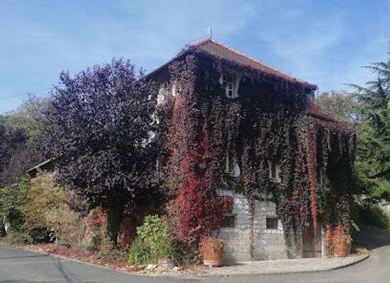 hungary/tokaj-wine-region/landmark/himesudvar-winery
