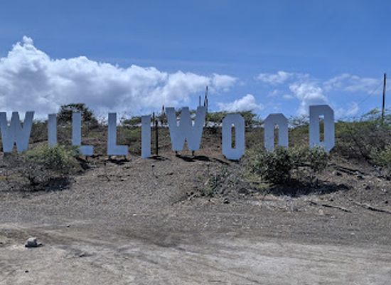 curacao/salina/landmark/williwood-sign