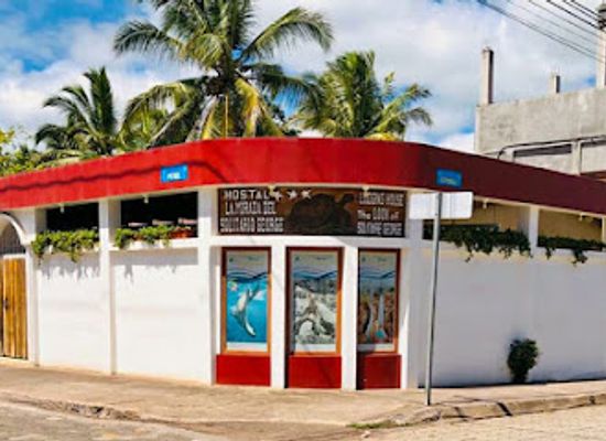 ecuador/puerto-ayora/landmark/la-mirada-de-solitario-george