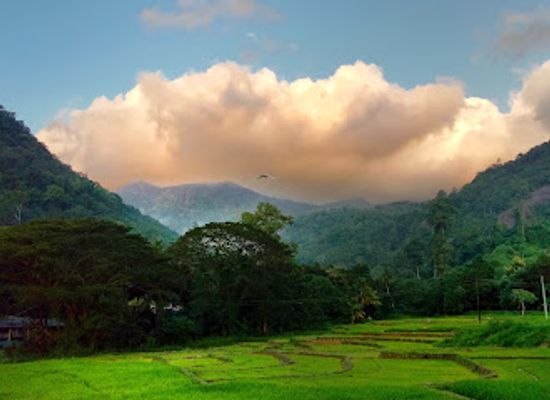 sri-lanka/moneragala-district/landmark/seethakanda-ancient-monastery-at-monaragala