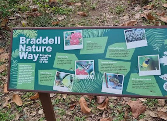singapore/macritchie-reservoir/landmark/braddell-nature-way