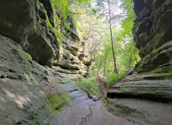 illinois/quad-cities/landmark/starved-rock-state-park
