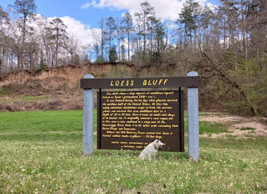 mississippi/natchez-trace-parkway/landmark/the-natchez-trace