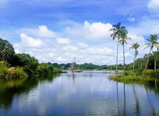 sri-lanka/wet-zone/landmark/dambulla-royal-cave-temple-and-golden-temple