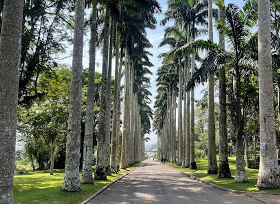 ghana/kwahu/landmark/idarkconsult-ltd