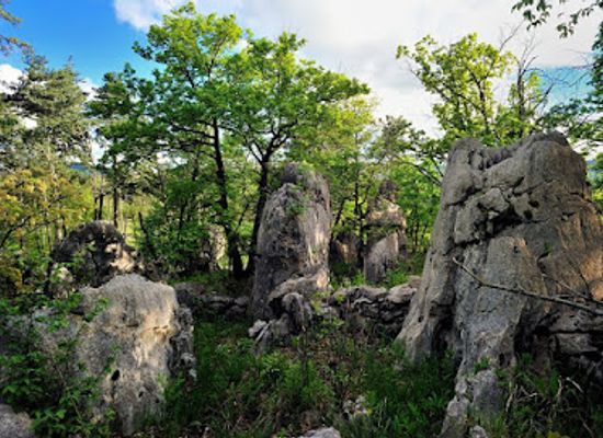 slovenia/sezana/landmark/karst-living-museum