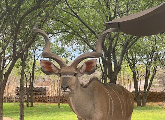 namibia/etosha-village/landmark/etosha-village-campsite