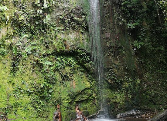 brunei/telisai/landmark/wasai-kandal-hike