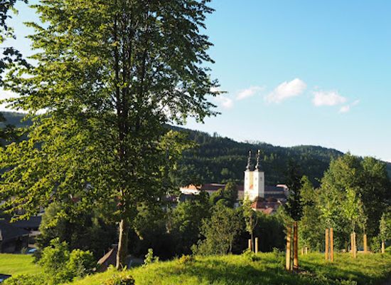 austria/gurktal/landmark/friedensforst-gurk