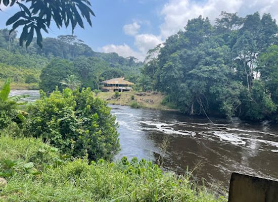 gabon/coastal-plains/landmark/liana-bridge-of-poubara