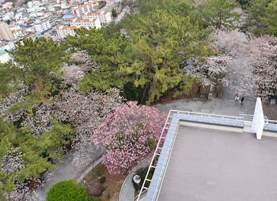 south-korea/yeongnam-region/landmark/jehwangsan-park